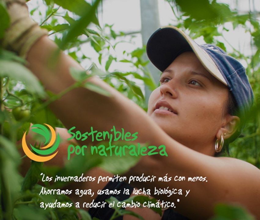 cartel-Sostenibles.Naturaleza-Invernadero-baja