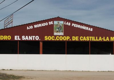 Primeras elecciones sindicales en Cooperativa de Ajos San Isidro (Las Pedroñeras)