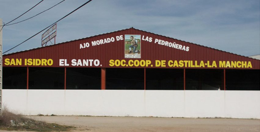 cooperativa san isidro el santo de las pedroñeras copia