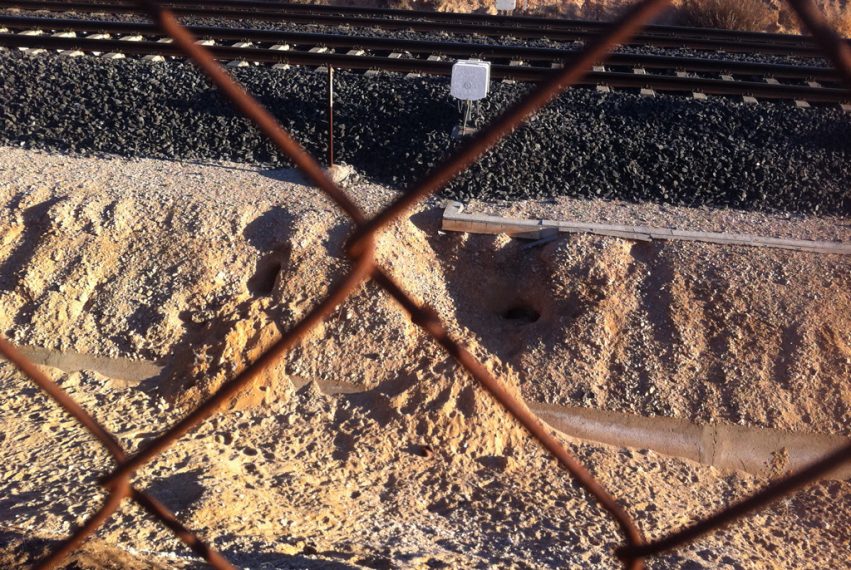 daños conejos vias ferreas