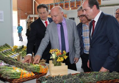 Destacan potencial de las tres denominaciones de origen de Guadalajara