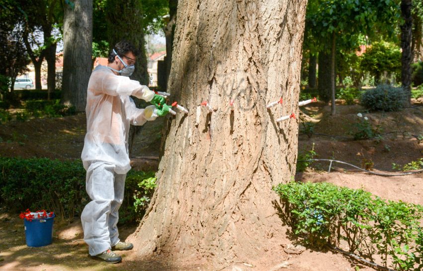 endoterapia tomelloso