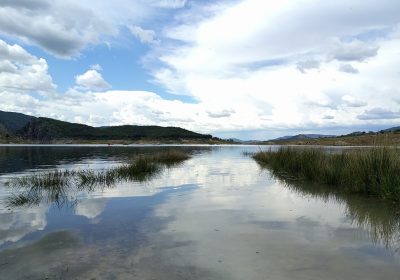 Piden a la nueva ministra suspender cautelarmente el Trasvase aprobado. Asociación de Municipios Ribereños de los Embalses de Entrepeñas y Buendía