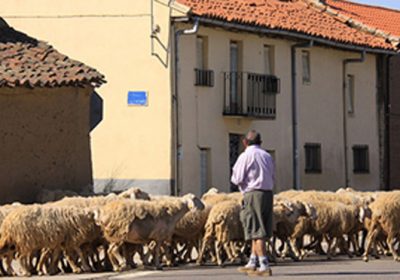 UPA: “Hogan ha presentado una propuesta sin un respaldo presupuestario suficiente»