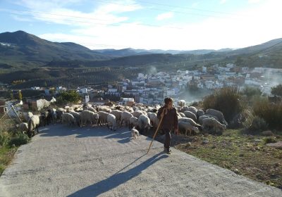 Ministerio de Agricultura publica el Manual Informativo de Titularidad Compartida