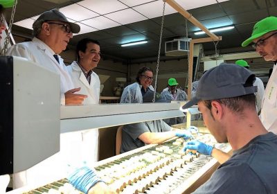 3,7 millones para sector agroalimentario y forestal que apueste por la innovación tecnológica