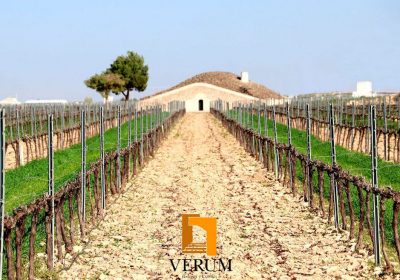Verum representará a Castilla-La Mancha en IX Simposio Master of Wine