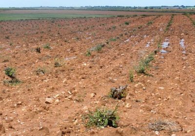 Carta del portavoz municipal del PSOE de Villahermosa al alcalde, por daños tormentas