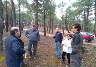 Abierta convocatoria de ayudas para resineros, ferias y Grupos de Desarrollo Rural