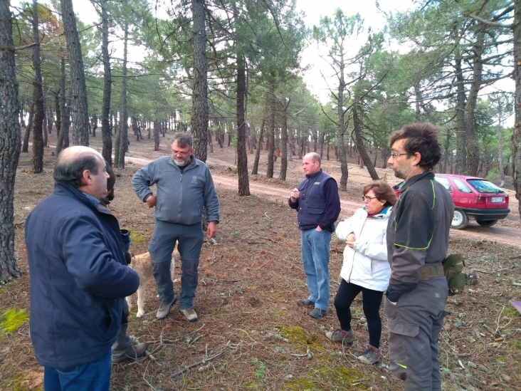 Foto Diputacion - Ayudas resineros