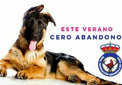La Real Federación Española de Caza inicia la campaña #CeroAbandono