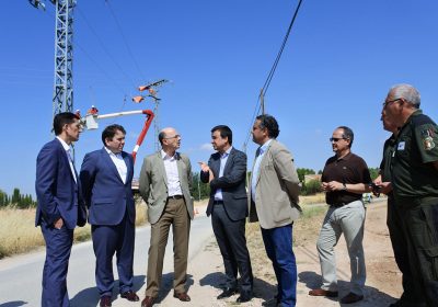 Convocarán ayudas para adaptación de líneas eléctricas de alta tensión en Zonas de Protección de la Avifauna; Red Natura 2000; LIC; ZEC o ZEPA