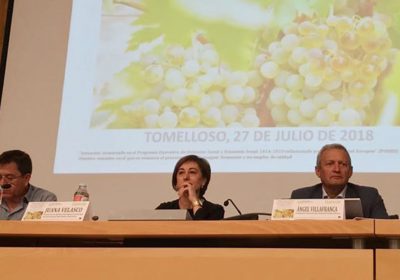 Prevén una cosecha de 23,8 millones de hectolitros de vino y mosto