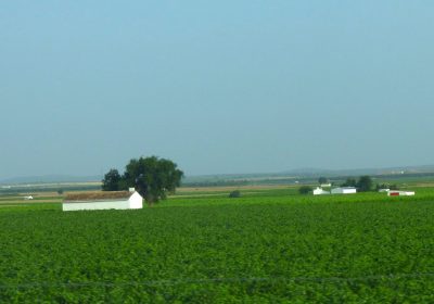 ASAJA Ciudad Real enumera los motivos por los que no se ha cobrado el anticipo de la PAC