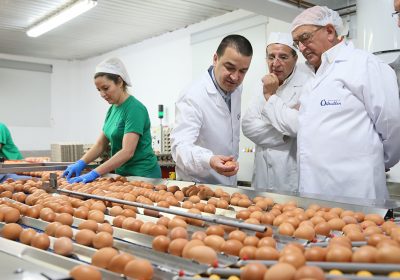 Las dos asociaciones de avicultura de puesta de Castilla-La Mancha se fusionarán