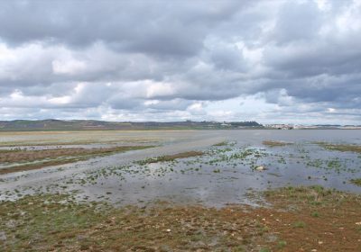 Recurrirá al Tribunal Supremo para proteger entorno natural de laguna El Hito