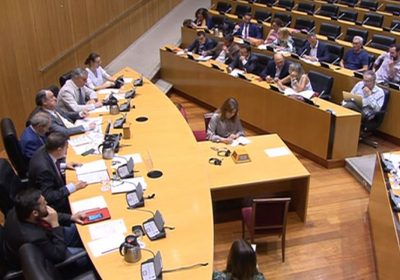 Conozca todas las líneas políticas en materia de agricultura para la legislatura