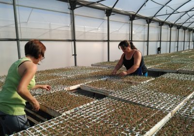 42% de mujeres que viven en medio rural de Castilla-La Mancha trabajan