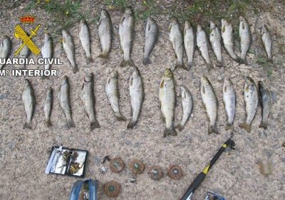 Denunciado por capturar 20 truchas en zona de pesca sin muerte