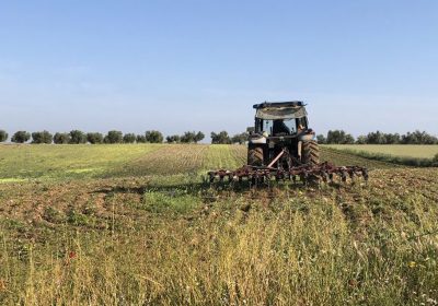 Reclama que se priorice en PAC a agricultores y ganaderos profesionales