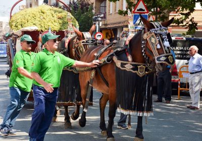 Tomelloso celebró nueva edición de la Fiesta de la Vendimia Tradicional
