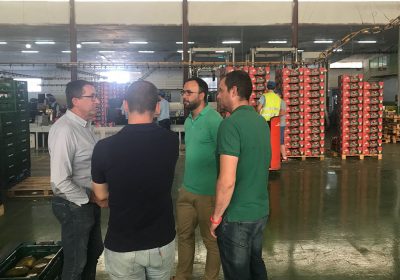 PP de Tomelloso pregunta qué fue de la gran inversión agroalimentaria