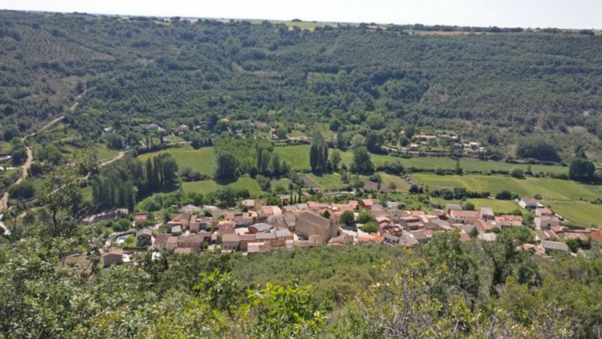 Entrevista-Agrosostenible