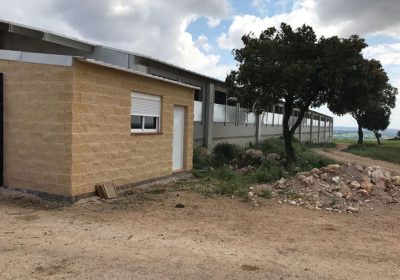 Denuncian que una macrogranja con autorización anulada sigue funcionando en Cuenca