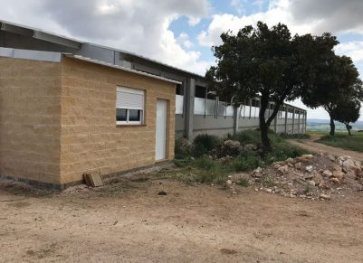 Denuncian que una macrogranja con autorización anulada sigue funcionando en Cuenca