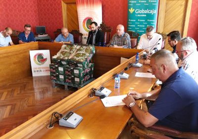 Los precios del melón de Castilla-La Mancha caen de nuevo ligeramente