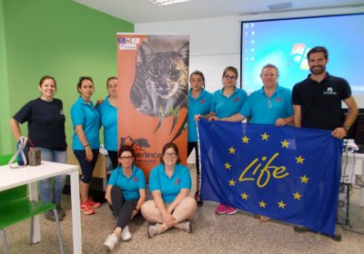 Conservar al lince ibérico repercute positivamente en la calidad de vida