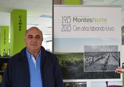 Lluvia VS Mercado. José Luis Amores. Director General Grupo Montes Norte