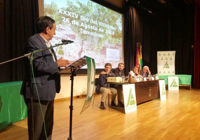 Se dan los condicionantes para que uva se pague a precios razonables