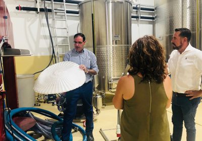 ‘Ícala Bodegas y Viñedos’ (Casas de Benítez), una bodega ‘de autor’