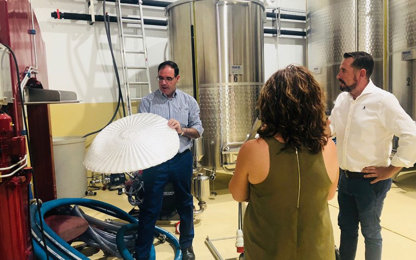 Prieto (Bodega Casas de Benítez)5