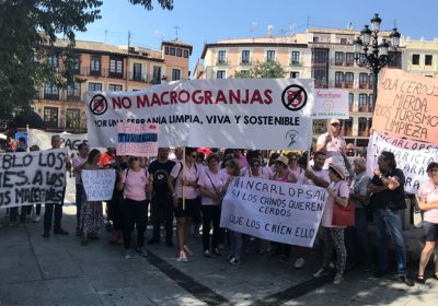 La Serranía de Cuenca protesta en Toledo contra las macrogranjas “cuando en España hay ya más cerdos que personas”