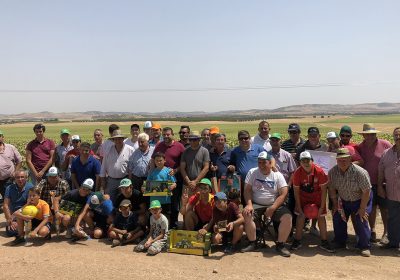 Gran participación en el concurso de arada de Calzada de Calatrava
