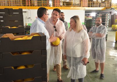 Cooperativa Santiago Apóstol espera 18 millones de kilos de melón