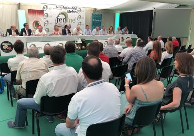 Optimismo tras primeras cotizaciones de melón y sandía de Castilla-La Mancha