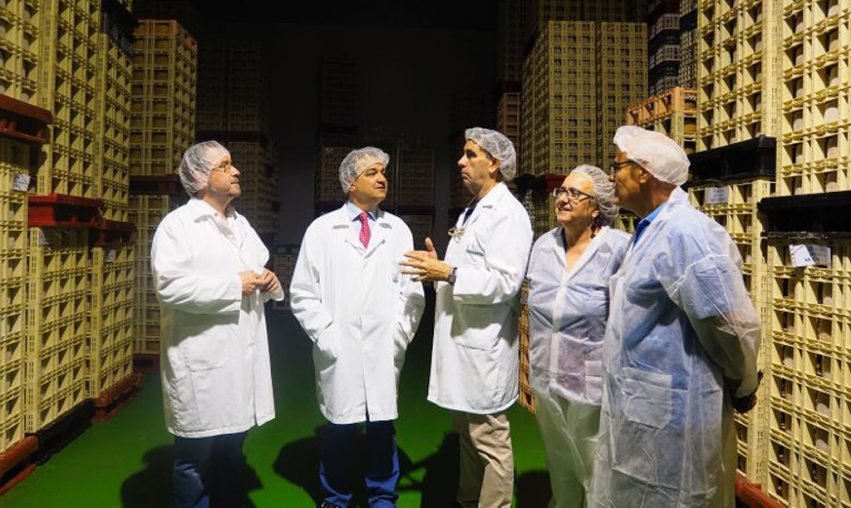 p1cjqhepbu1pvu1hjo1f5r13cgm3q4