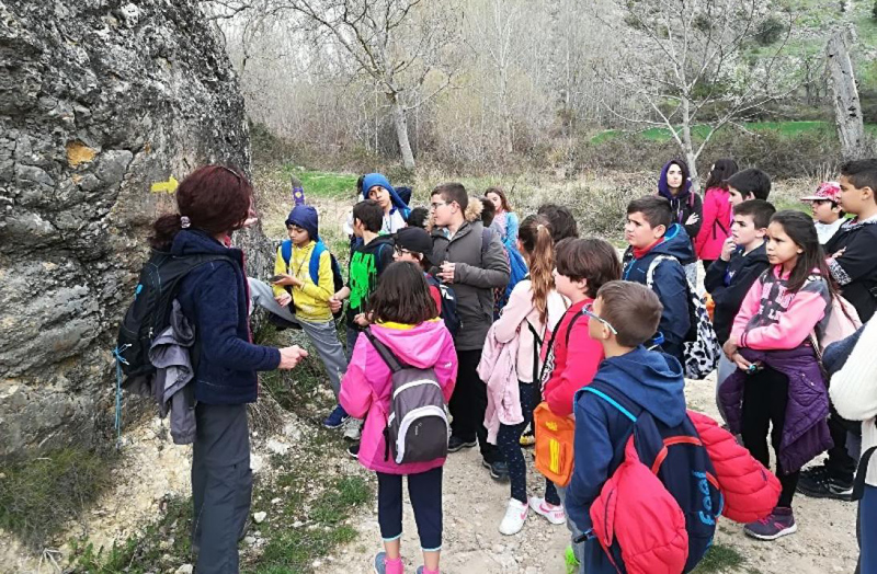 p1cjvf7no5uk142p15ln1kuq1r3c4