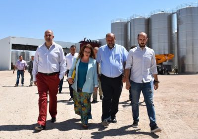 Está previsto que en septiembre se resuelva la convocatoria de ayudas de restructuración del viñedo