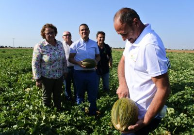 El Gobierno regional traslada su apoyo y compromiso a la IGP Melón de La Mancha y aboga por trabajar con la Interprofesional