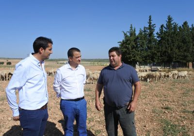 Más de 5.000 ganaderos se han beneficiado de las ayudas directas del Plan de Ganadería Extensiva del Gobierno regional