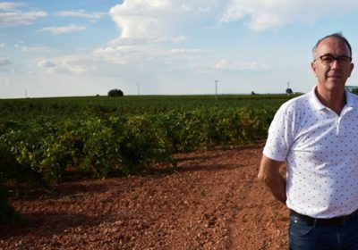 Propone medidas para fijar unos precios mínimos de compra de la uva