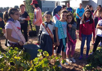 La Fiesta de la Vendimia de Daimiel ya tiene ganadores