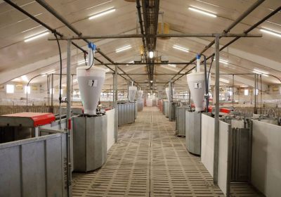 ICPOR defiende que granjas porcinas contribuyen a dinamizar y fijar población