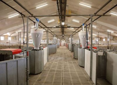 ICPOR defiende que granjas porcinas contribuyen a dinamizar y fijar población