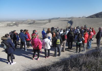 113 Paseos Naturales para conocer y disfrutar la provincia de Toledo