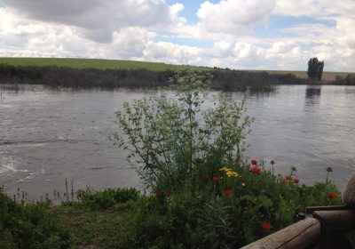 Proyecto para potenciar la biodiversidad de Las Tablas de Daimiel